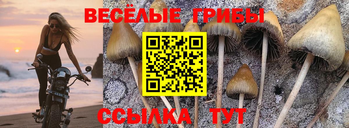 Галлюциногенные грибы Magic Shrooms Муром