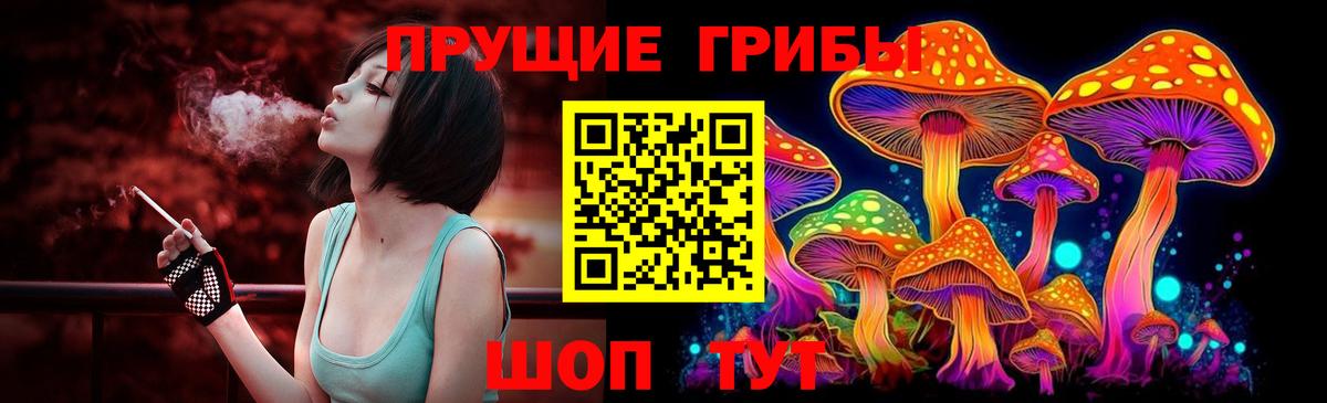 Псилоцибиновые грибы GOLDEN TEACHER  что такое   Вход с VPN  Муром  Псилоцибиновые грибы мицелий 